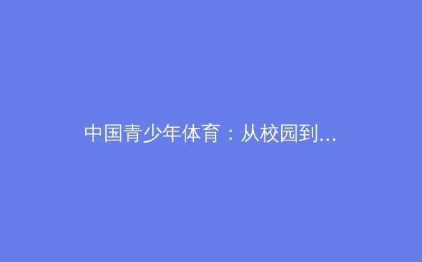 中国青少年体育：从校园到赛场，新一代运动员的崛起与挑战