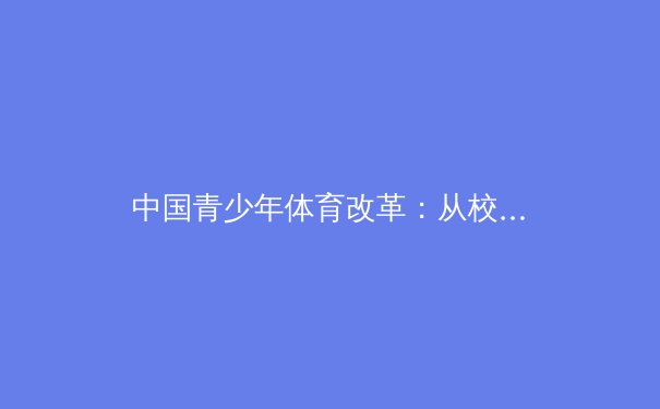 中国青少年体育改革：从校园到职业赛场的桥梁建设 - 4